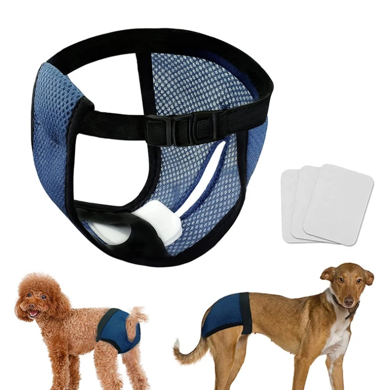 Dog Underwear For Heat lupon.gov.ph