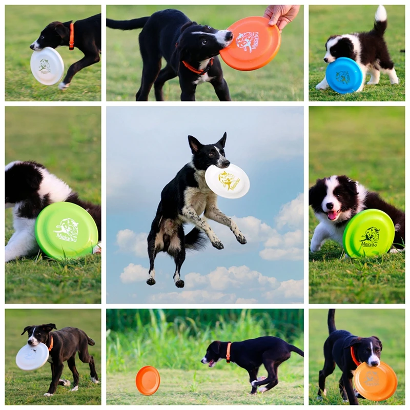 Interactieve Hond Vliegende Schijf Speelgoed Lichtgewicht Vliegende Schijf Hond Speelgoed 2 Kanten Hollow Ontwerp Pet Training Vliegende Schijf voor Grote Honden (Rood