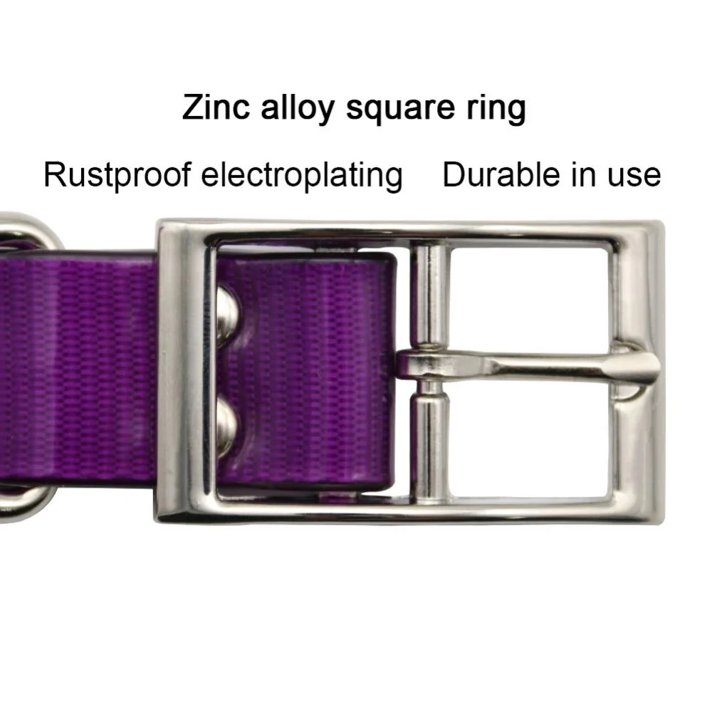 Waterproof Training Dog Collar 4