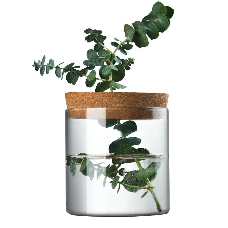 Creative Mini Hydroponic Plants Flower Pot Transparent Glass Vase Home Decor