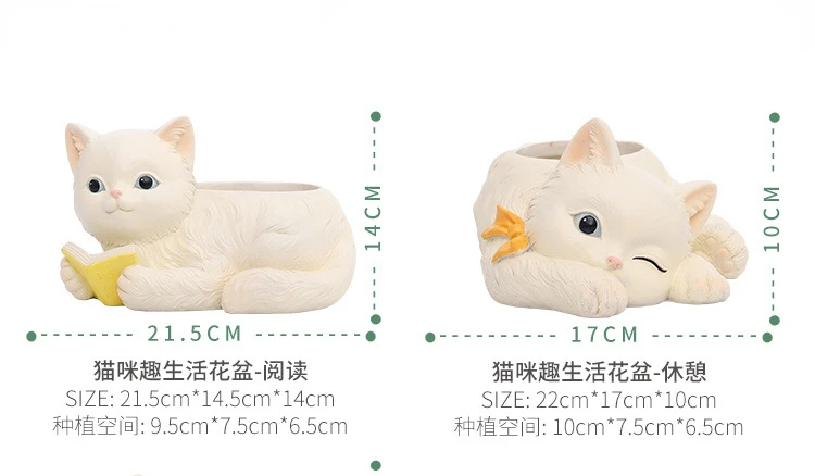 https://ae01.alicdn.com/kf/Sc55839d4288845cd97e7a74c57ebcf29f.jpg?width=750&height=438&hash=1188