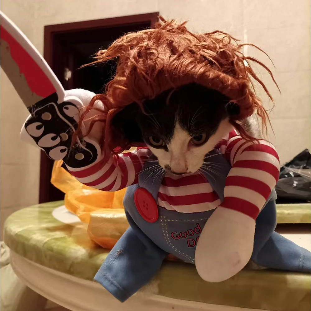 Diy Cute Kitten Costumes 20 Best Cat Halloween Costumes For 2021