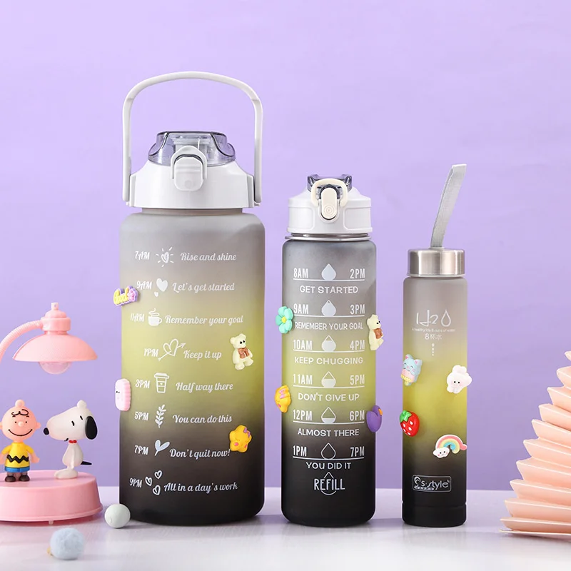 Bouteille d'Eau de Sport