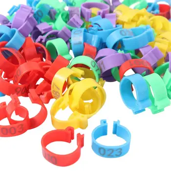 100PCS Poultry Leg ID Tags 1