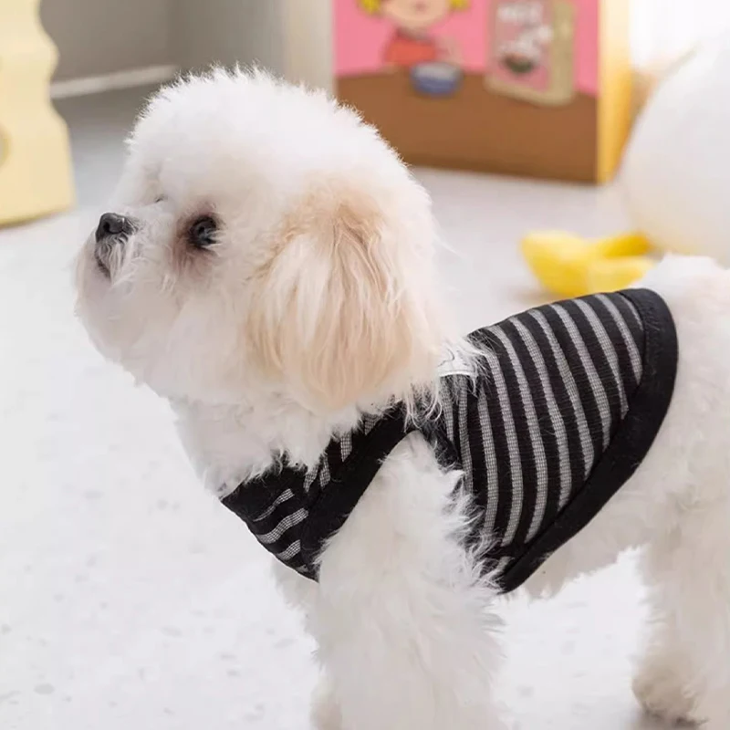 Dog Clothes Breathable Mesh Pet Dog Vest Dog Summer Clothes Thin Cooling T Shirt Chihuahua Bichon Costume Cat Clothing Girls Puppy Shirt