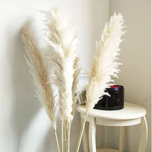 Pampa Séchée 80cm - Fleurs Artificielles - AliExpress