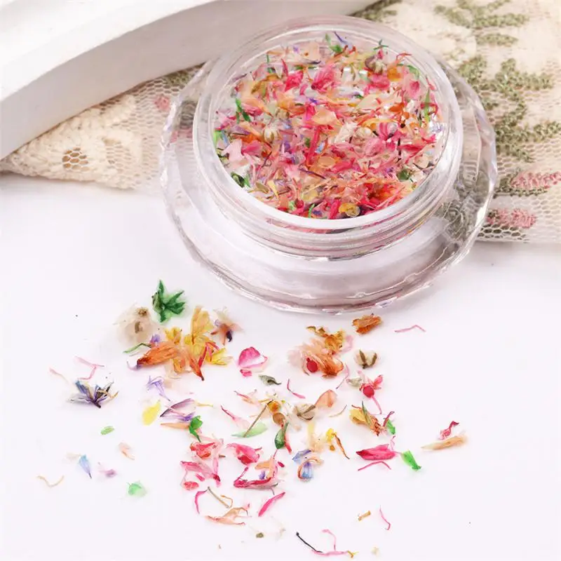 1boxNaturalMiniDriedFlowerNailArtRhinestonesCharmsMixedDryFloralNailDecorationsDIY