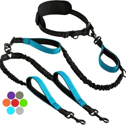 Hands - Free Dual Dog Leash with Padded Handles and Reflective Stitching for Medium and Large Breeds (Blue)
