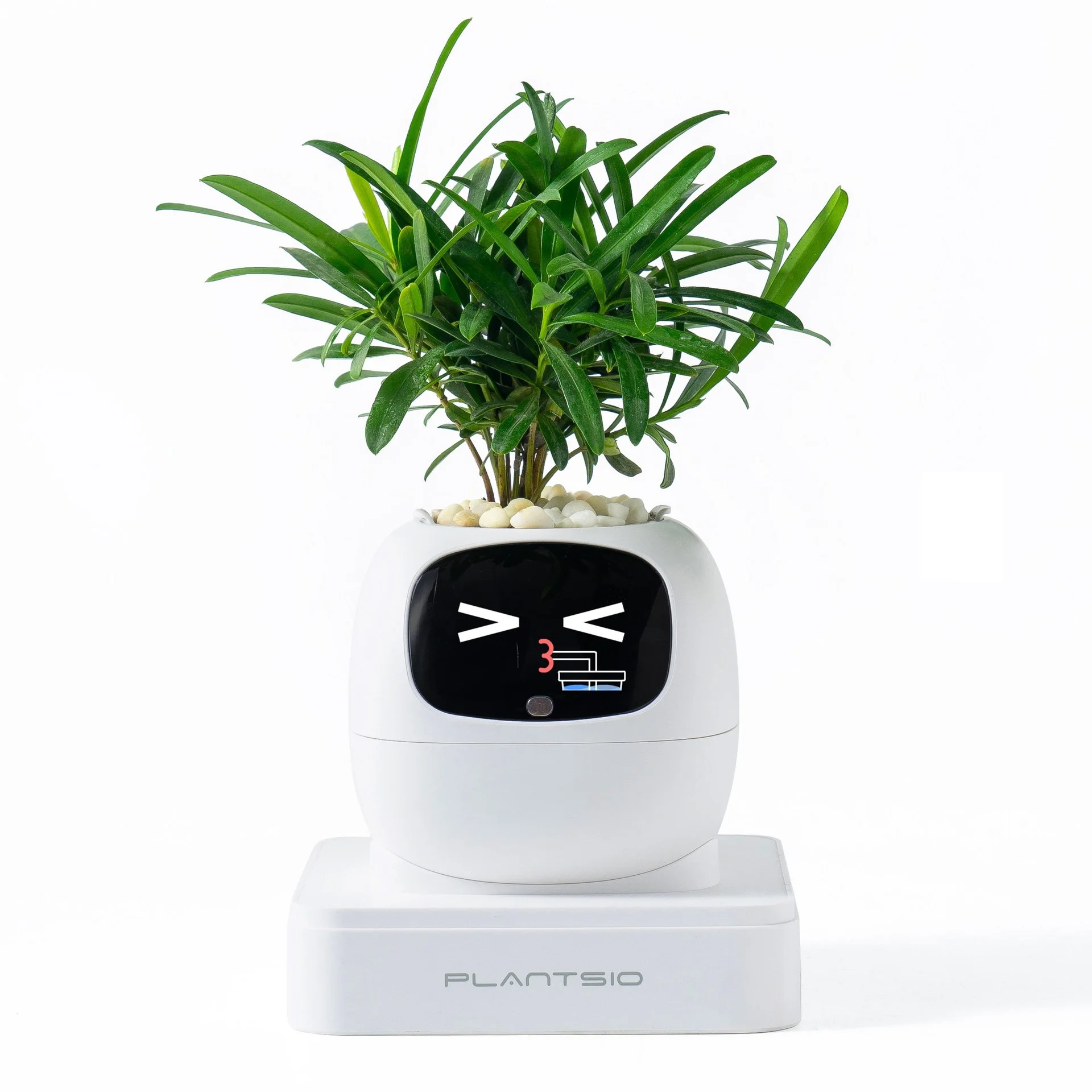 รูปสินค้า กระถางปลูกอัจฉริยะ Smart Garden ปลูกง่าย สนุก ดูแลได้ทุกวัน