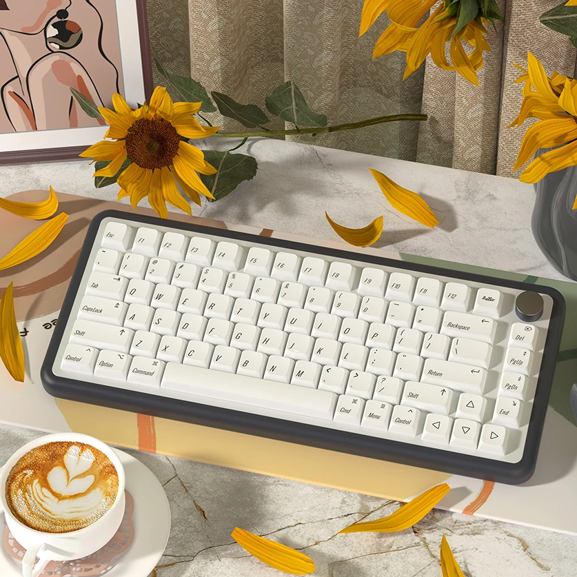 mechanische-tastatur-tasten-kappe-minimalismus-pbt-xda-profil-tasten