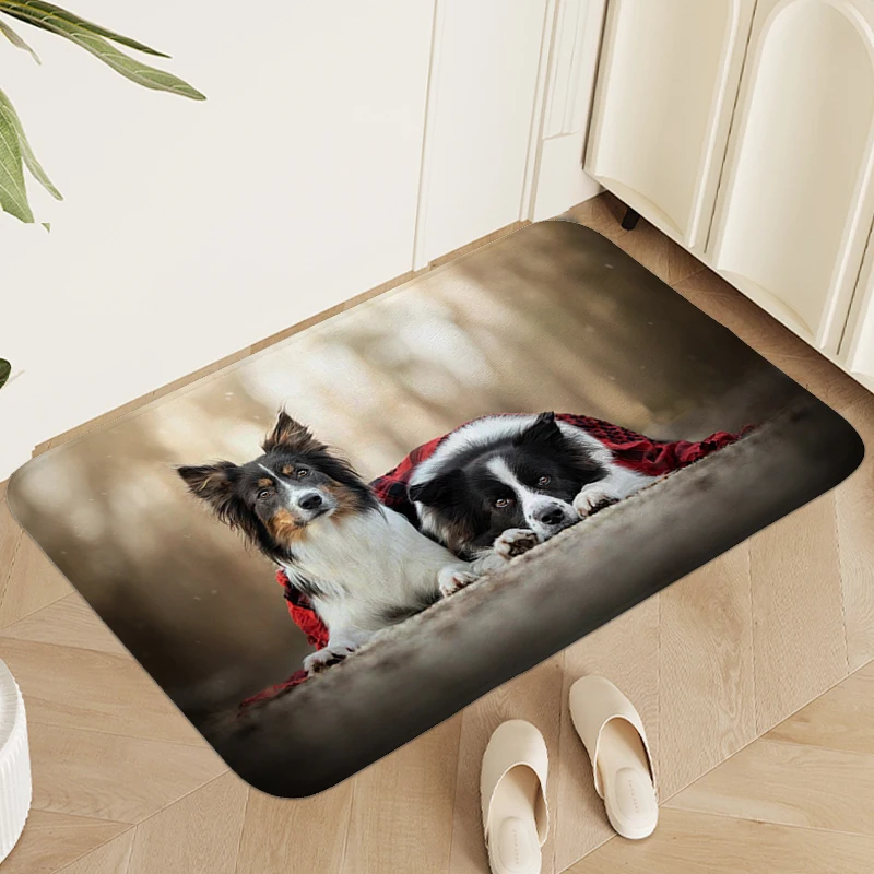 

Foot Mat Border Collie Rug for Bedroom Hallway Toilet Living Room Non Slip Carpet Doormat Entrance Door Useful Things for Home