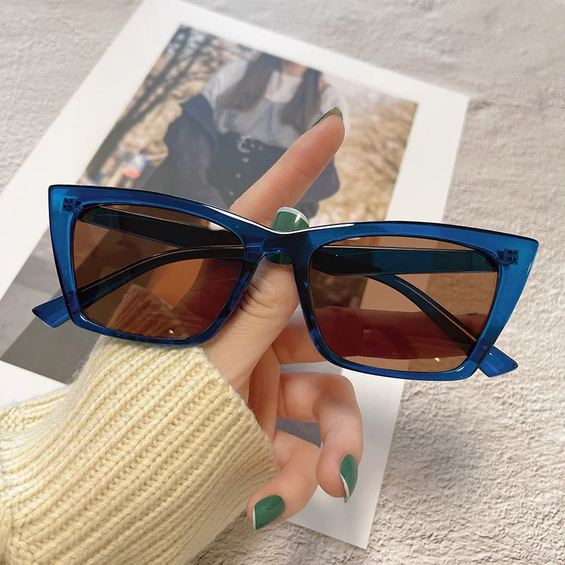 Cat Eye Small Frame Sunglasses For Men And Women Retro Vintage_voghion.com