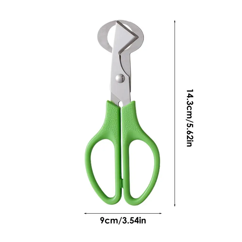Description Picture 6 of itemStainless Steel Quail Egg Shell Opener With Handle Eggshell Shears Bird Egg Scissors Opening Divider Kitchen Cooking Tools