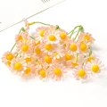 Pink Yellow