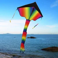 Easy to Fly Colorful Rainbow Kite Outdoor Fun Sports Beach Triangle Kite Beginners Kids Children Adults Outdoor Toys Kite Gifts 2