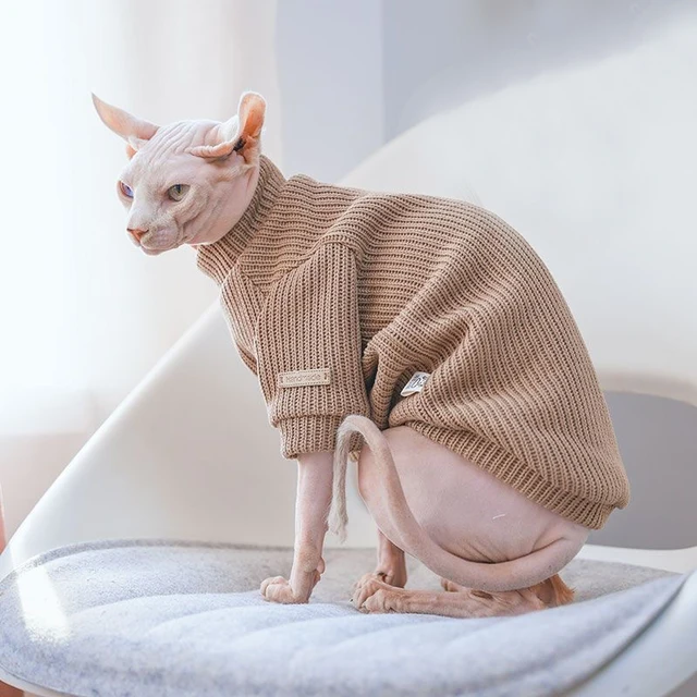 Coffee Cotton Sweater for Cat 2-legged Winter Coat for Sphynx Warm Sweatshirt for Kittens Soft Loungewear for Devon Rex 3