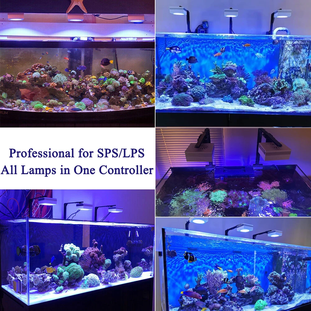 PopBloom – lumière Led RS90 pour Aquarium, rampe led aquarium led pour  aquarium éclairage pour la croissance des coraux et des poissons