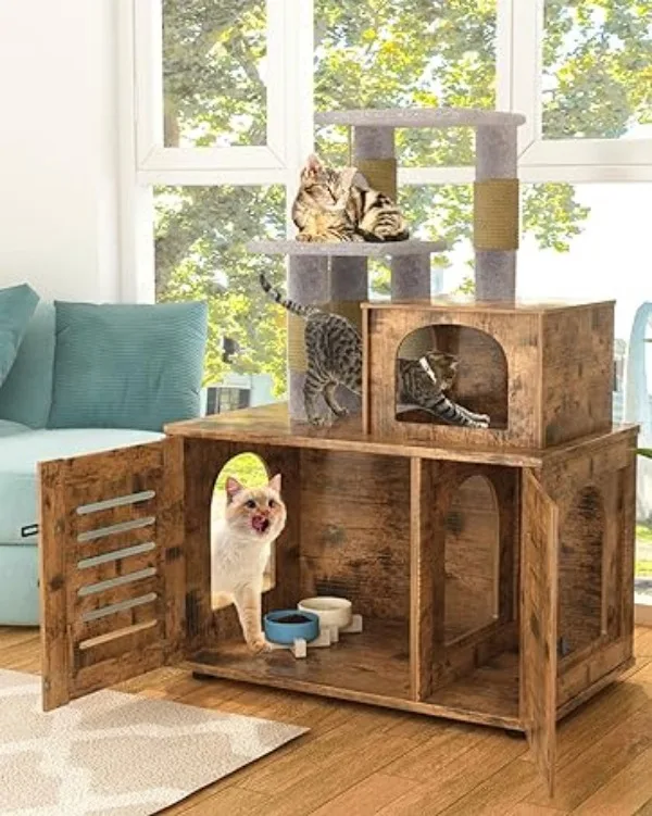 cat house