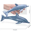 Ocean Animal-04
