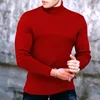 Fashion Men's Casual Slim Fit Basic Turtleneck High Collar Pullover Male Autumn Spring Thin Tops Basic Bottoming Plain T-shirt 1