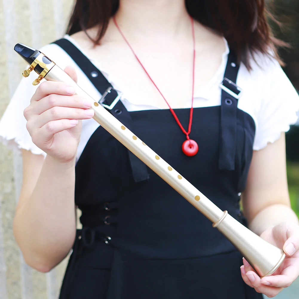 E Flat Saxophone Woodwind Instrument ABS Resin Portable Mini Pocket Saxophone Clarinet Musical Instrument for Beginners Practice
