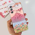 Case-c79