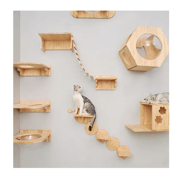 Sc585cf1cbfd643c3ada51a2c1cf54e8fE