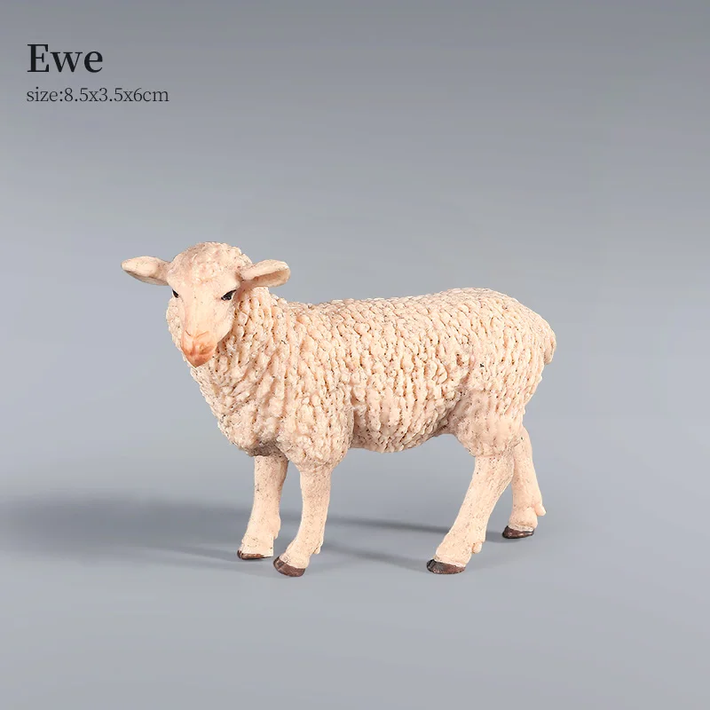 Animal-2