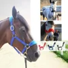 Soft Padded Pony Horse Halter Bridle Headstall Head Collar Horse Riding Stable Horse Bridle Headstall Accessories Western 1
