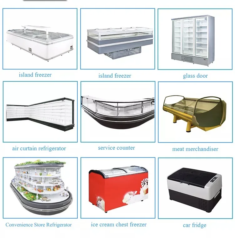 Vertical Upright Freezer Cooler Refrigerated Equipment Double Door Commercial Fridge