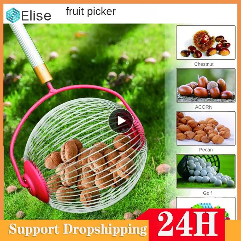 Grille De Four - GOTOTOP - MAD - Acier Inoxydable - 30x36 Cm - Facile à