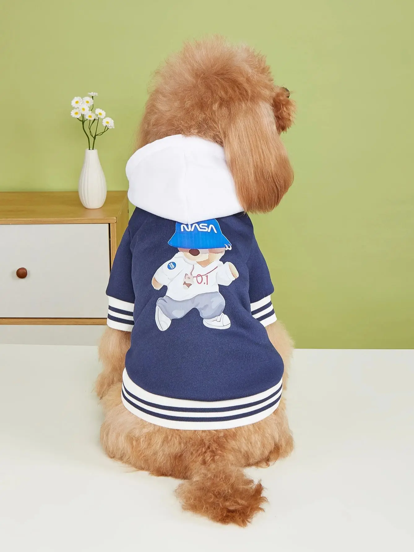 Dog & Cat Jacket with Hat 6
