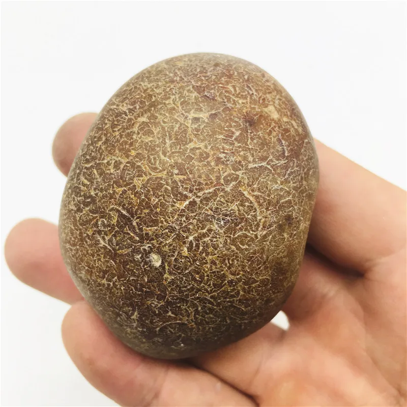 150-200g Natural crystal rough unpolished agate stone home decoration 6