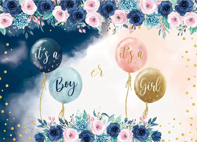 Boy or Girl Gender Reveal Backdrop Navy and Blush Gender Reveal