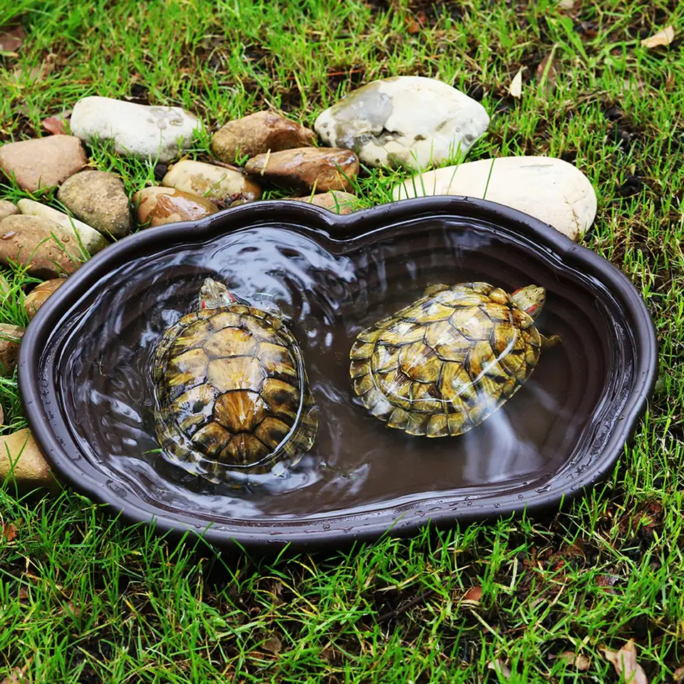 Water Dish Tortoise Habitat Accessories Hsei Tortoise Turtle