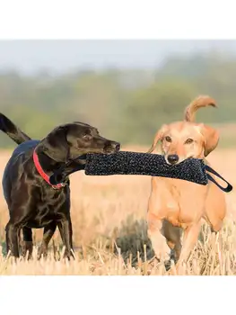 Dog Training Bite Stick Toy 1