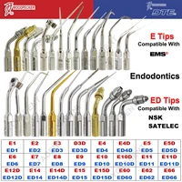 Woodpecker Tips DTE Dental Ultrasonic Endo Scaler Tips Scaling Tips Fit EMS UDS NSK SATELEC Scaler Handpiece Dentistry Tools 1