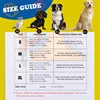 3 Piece Harness Vest Dog Traction Rope Toy Set Pet Polyester Chest Back Walking Leash For Puppy Adjustable Traction Chest Strap 6