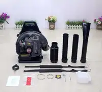 EB650 Air Blower Leaf Blower Two Stroke Ordinary Type Snow Blower Garden Power Tools 63.3cc Portable  Gasoline Leaf Vacuum 2