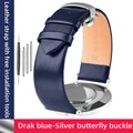 B Drak Blue-Silvery