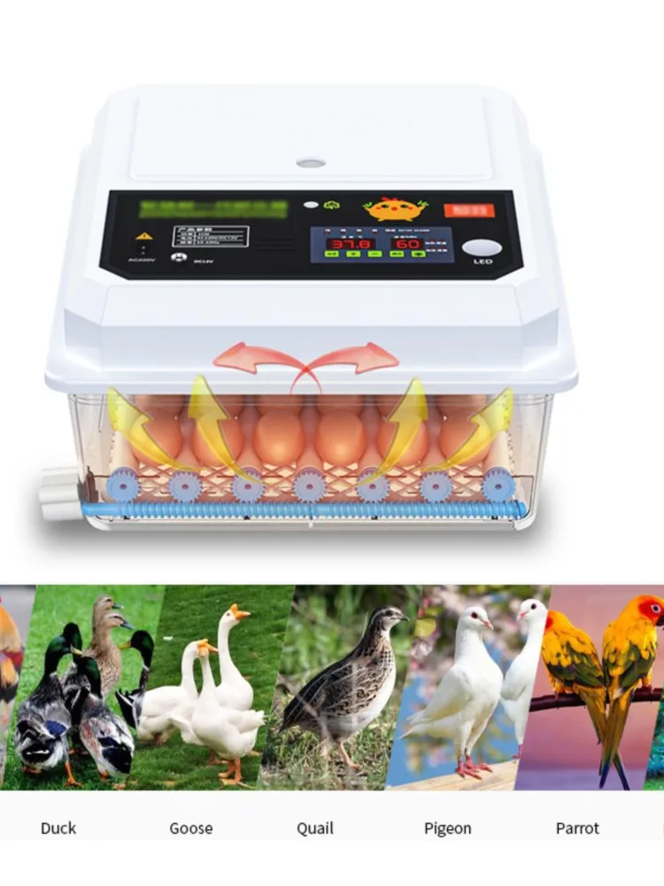 

36pcs Chicken eggs Incubator Double Power Supply 220/110V Automatic Incubators Egg Hen Chicken Eggs Industry High Hatchability