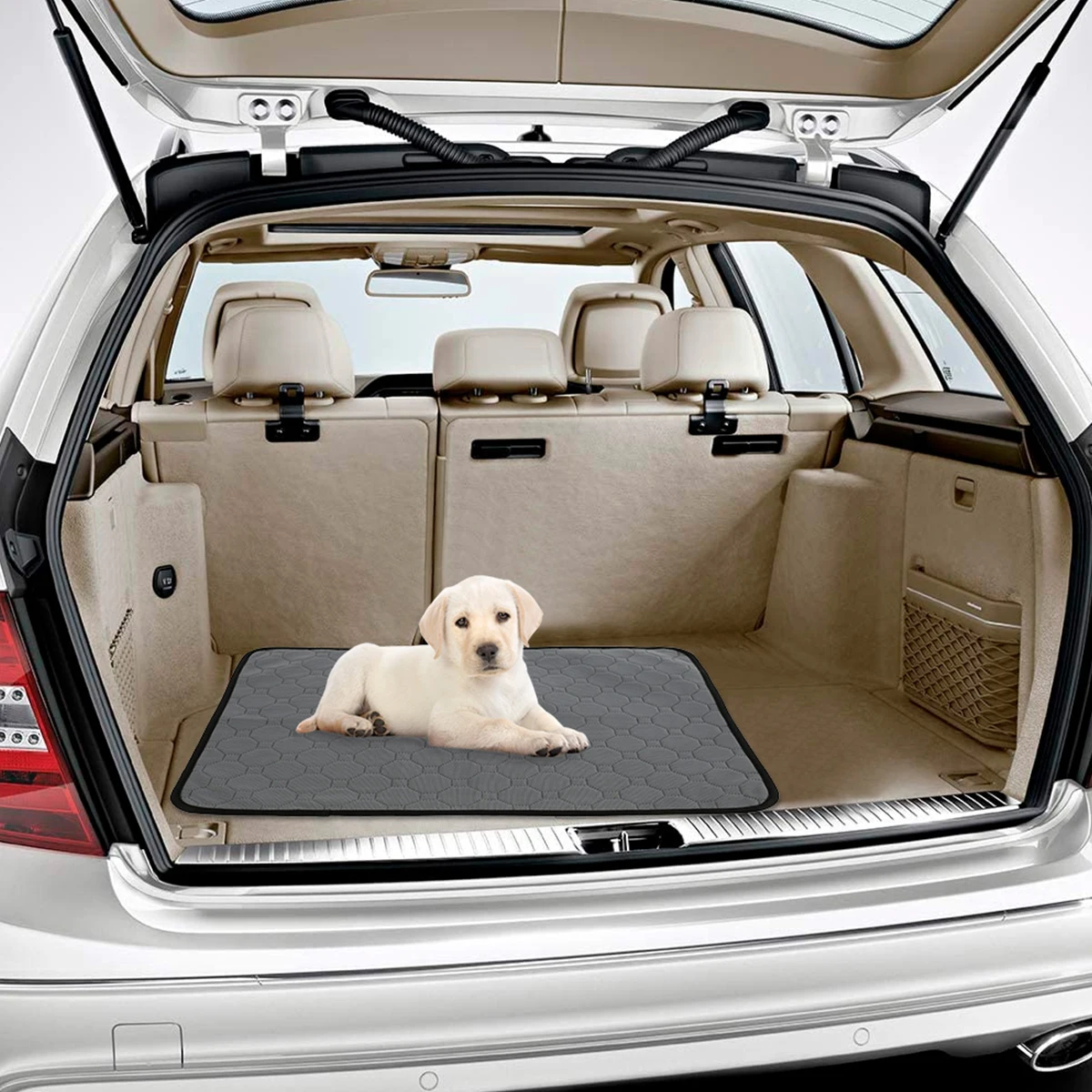 Reusable Absorbent Dog Training Pad Waterproof Pet Bed