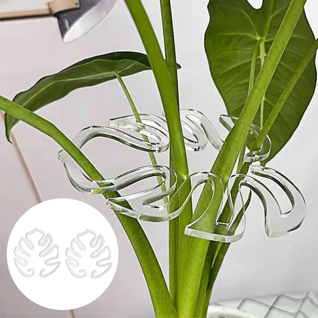1/5pcs clear Acrylic Plant Stem Support Clips,Monstera Moss Pole Plant Stake to Keep Plants Growing Vertical ins home decoration 6