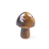 Tiger eye-1pcs
