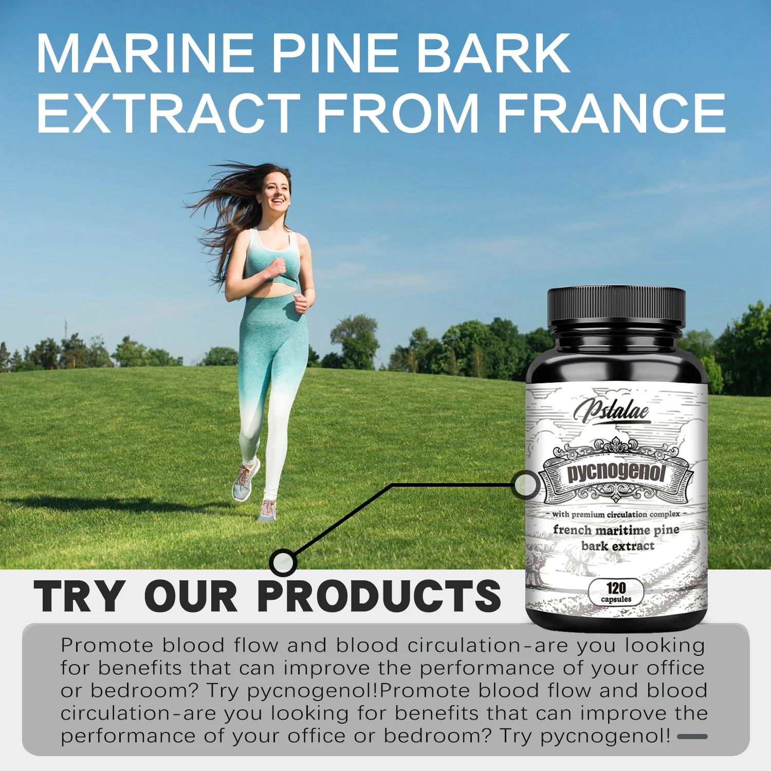 Pycnogenol Improves Blood Flow and Circulation Nitric Oxide Production