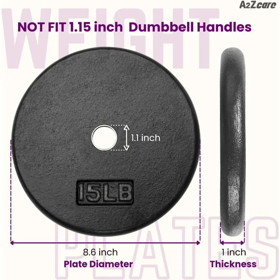 1-Inch Standard Weight Plates - Cast Iron Dumbbell Plates