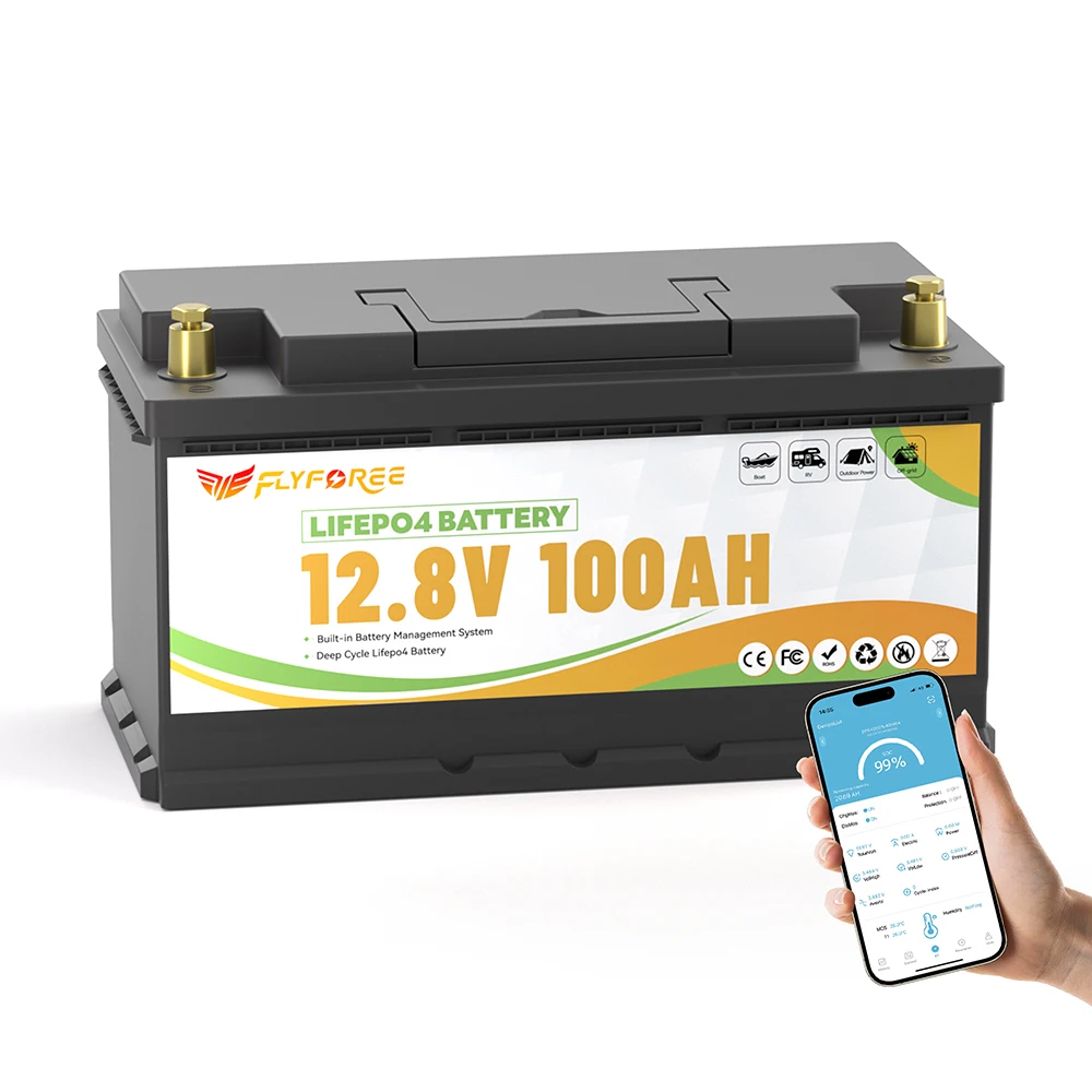 Batterie LiFePO4 12V 200Ah – Pack Rechargeable Au Lithium Fer Phosphate, Neuf