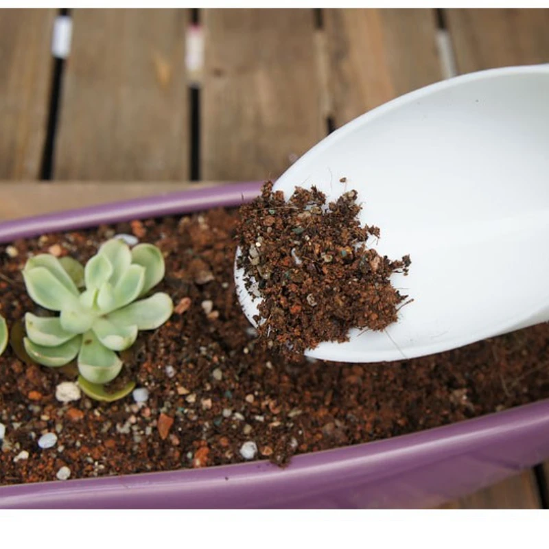 1pcs Random Color Succulent Plant Supplies Digging Plastic Bucket Shovel Gardening Tools Sand Scoop Potted Tools
