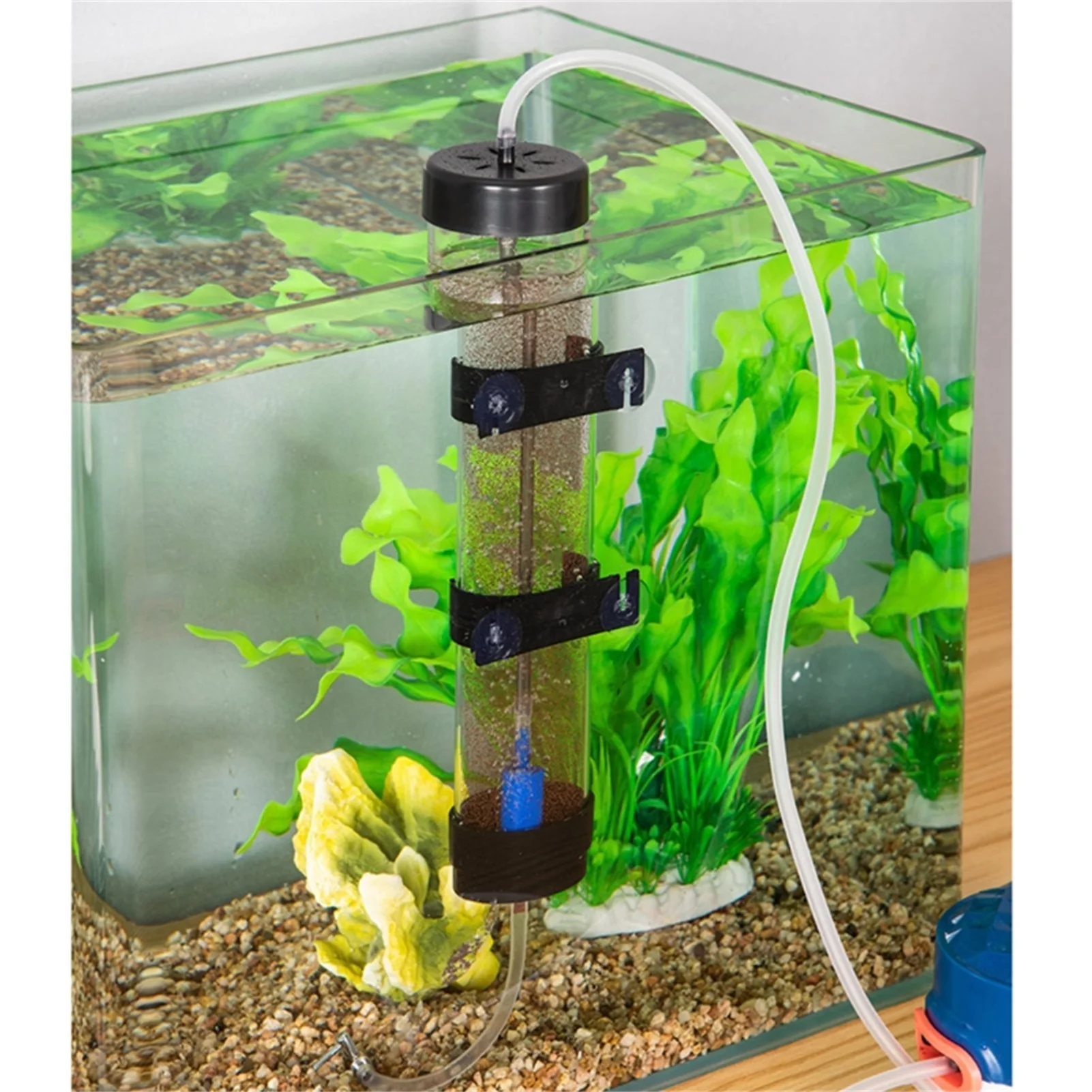 Fish Tank Brine Shrimp Hatcher Aquarium Artemia Eggs Incubator Tool