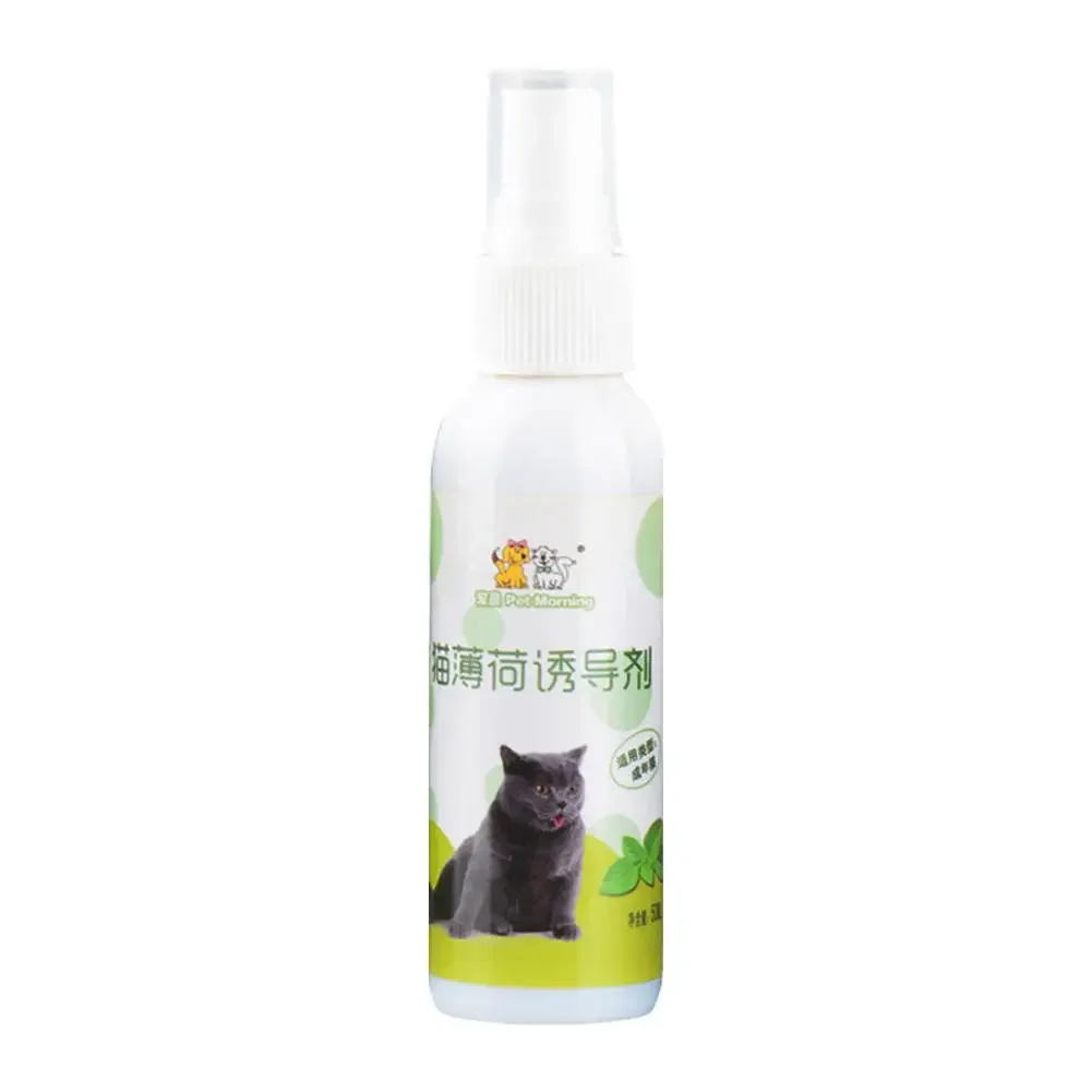 50ml